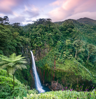 Waterfall in jungle, Costa Rica.